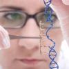 Photo for Genome Engineering Market to Perceive Substantial Growth During 2018–2026