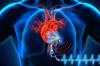 Photo for Implantable Medical Devices Market 2026 Growth, Drivers, Trends, Demand and Shares