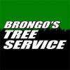Photo for Brongo's Tree Service, LLC