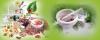 Photo for Best Ayurvedic Hospital in Kothapet,Nagole,Karmanghat,Badangpet,Chaitanyapuri