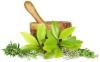Photo for Best Ayurvedic Hospital in Hyderabad,Saidabad,Gachibowli,Dilsukhnagar,Balapur