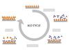 Photo for Global Atomic Layer Deposition (ALD) Market Price, Sales, Gross Margin, Growth Rate, Industry Demand, Scope and Revenue