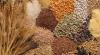 Photo for Grain Analysis Market Research Report, Size, Share, and Forecast 2026