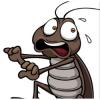 Photo for Pasadena Best Pest Control