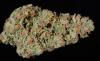 Photo for buy durban poison strain