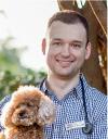 Photo for Pet surgeon, Pet Doctor, Pet surgery, Animal doctors in Singapore