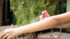 Photo for Body Worn Insect Repellent Products Market - Global Industry Insights, Trends, Outlook, and Opportunity Analysis, 2018-2026