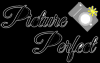 Photo for Picture Perfect Photobooth Rentals Indianapolis