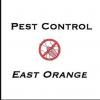 Photo for Pest Control East Orange Company