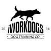Photo for iWorkDogs Dog Training Co.