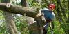 Photo for Arborists