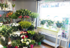 Photo for Donna the Florist