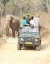 Photo for Jim Corbett Jeep Safari | Tariff Tour Guide
