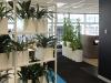 Photo for Office Plant Hire