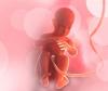 Photo for Umbilical Cord Blood Stem Cell Market is Expected to Reach $56.4 Billion, Globally, by 2020