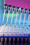 Photo for In Vitro Toxicity Testing Market is Expected to Reach $7,813 million, Globally, by 2022