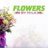 Photo for Flowers by Mila