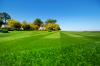 Photo for Gomez Fine Landscaping LLC