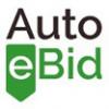 Photo for AUTOEBID