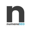 Photo for Numana SEO