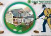 Photo for Contact for Pest Control in Gurgaon | 9811381458