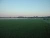 Photo for Delea Sod Farms