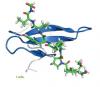 Photo for antibody analysis