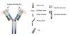 Photo for anthrax protective antigen