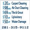 Photo for Carpet Cleaner Richmond