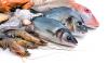 Photo for Seafood Market Anticipated to Hit $155,316 Million by 2023