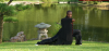 Photo for Bei Shaolin Kung Fu Institute