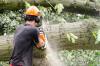 Photo for CR Tree Care
