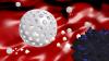 Photo for Nanostructured Drug Market by 2026 Report: Opportunities, Vendors, Shares, Industry Growth, and Forecast