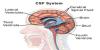 Photo for Global Cerebral Spinal Fluid (CSF) Industry Trends, Status, Benefits, growth and productivity