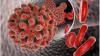 Photo for Global Hepatitis B Immunoglobulin Market Key Country Analysis and Regional Forecast 2014-2024