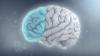 Photo for Attention-deficit/Hyperactivity Disorder (ADHD) Treatment Market Trends Analysis Till 2026