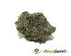 Photo for Wholesale Dispensary Canada- Marys Secret