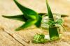 Photo for Plant Extracts Market  - Global Trends and Forecast to 2025