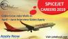 Photo for SPICEJET Careers 2019 April Cabin Crew Jobs Walk-In Interview Dates Apply