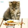 Photo for Cat Food Market Segments, Size, Share, Growth, Key Player & Forecast to 2023