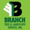 Photo for Branch Tree & Landscape Service