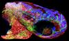 Photo for Hyperspectral Imaging Market Research Puts Limelight On Growth By 2026