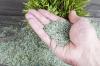 Photo for Grass Seeds Market Applications & Business Strategy Forecast 2026
