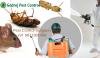 Photo for Pest Control Gurgaon for Bed bugs | 9811381458