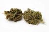 Photo for Nature’s Perfect Hemp Has CBD Oil for Pain