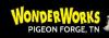 Photo for WonderWorks Pigeon Forge