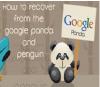 Photo for Effective Reliable PPC Campaign Management Services | Google adwords campaign management services