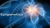 Photo for Epigenetics Market Global Industry Size, Share, Analysis, Outlook, and Forecast 2018-2026
