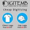 Photo for Logo Digitizing