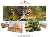 Photo for Luxury India Trip